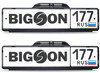       Bigson iCam-2000